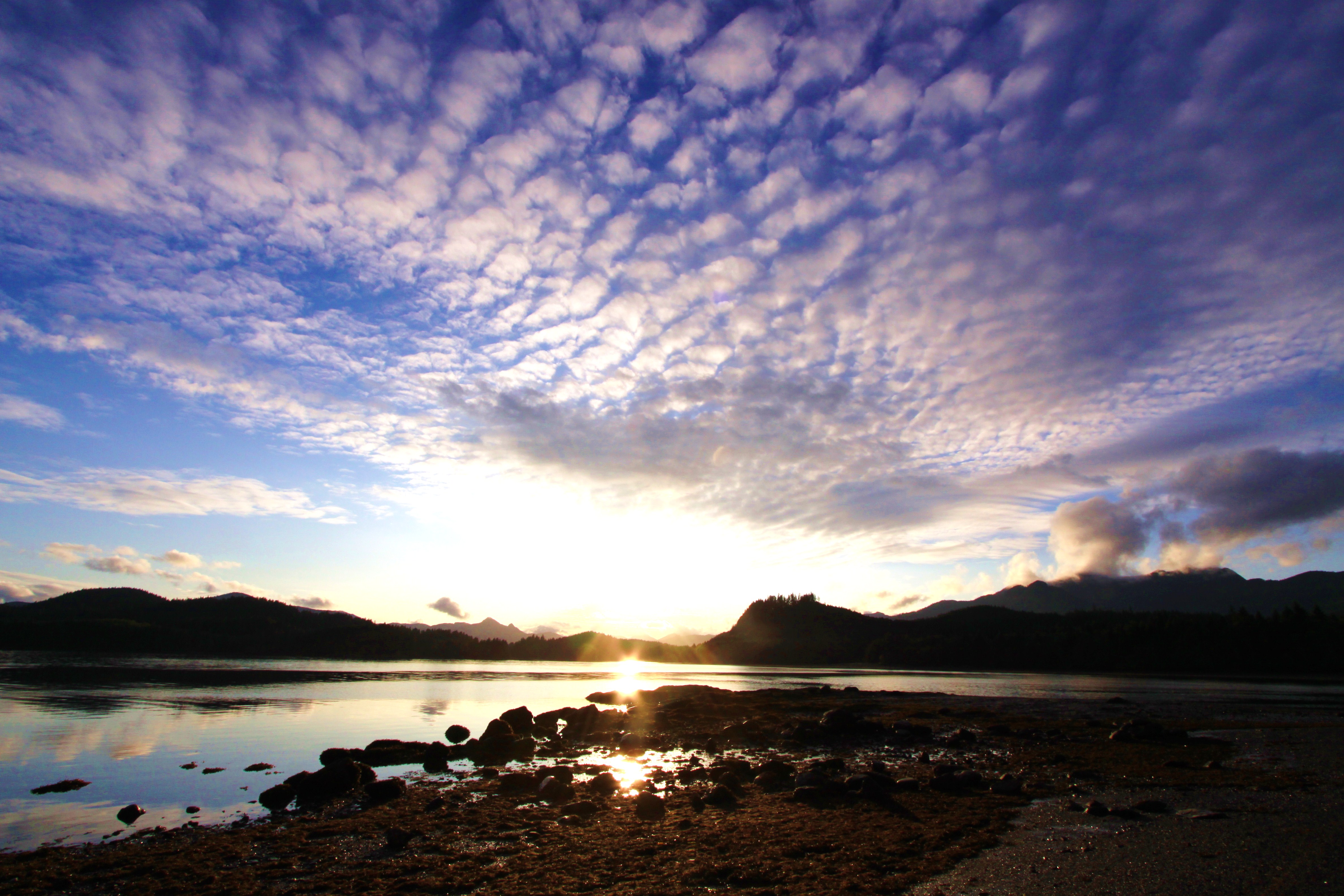 Earth tribes (アーストライブス)